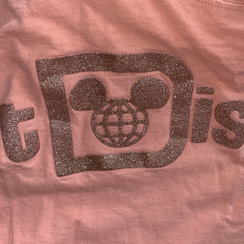 NWOT Original Disney Parks briar rose Spirit Jersey